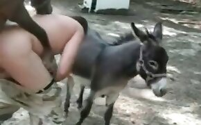Samba orno com a ruiva linda metendo com um coroa bem mais velho do que ela em cima do sofá - donkey, videos with beastiality